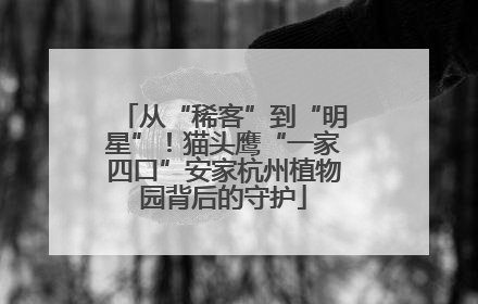 从“稀客”到“明星”！猫头鹰“一家四口”安家杭州植物园背后的守护