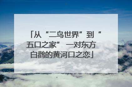 从“二鸟世界”到“五口之家” 一对东方白鹳的黄河口之恋