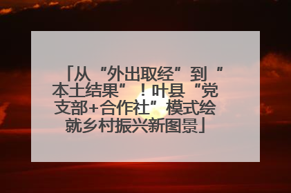 从“外出取经”到“本土结果”！叶县“党支部+合作社”模式绘就乡村振兴新图景