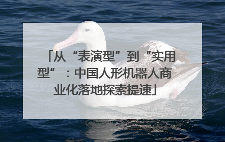 从“表演型”到“实用型”：中国人形机器人商业化落地探索提速