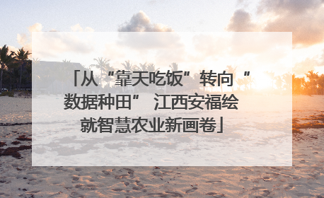 从“靠天吃饭”转向“数据种田” 江西安福绘就智慧农业新画卷