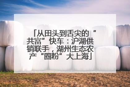 从田头到舌尖的“共富”快车：沪湖供销联手，湖州生态农产“圈粉”大上海