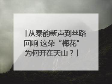 从秦韵新声到丝路回响 这朵“梅花”为何开在天山？