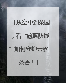 从空中到茶园，看“藏蓝防线”如何守护云雾茶香！