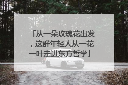 从一朵玫瑰花出发，这群年轻人从一花一叶走进东方哲学