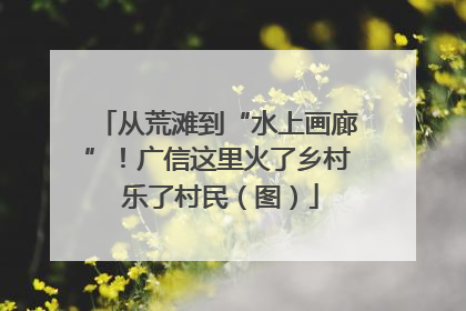 从荒滩到“水上画廊”！广信这里火了乡村 乐了村民（图）