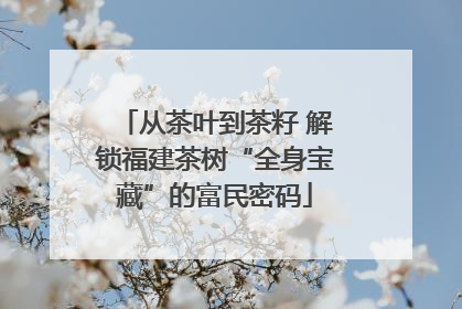 从茶叶到茶籽 解锁福建茶树“全身宝藏”的富民密码