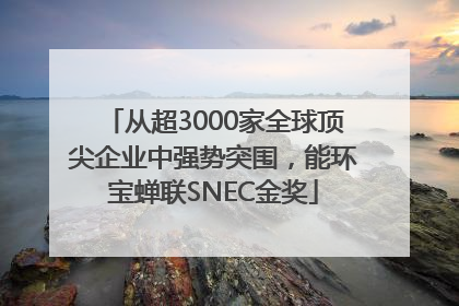 从超3000家全球顶尖企业中强势突围，能环宝蝉联SNEC金奖