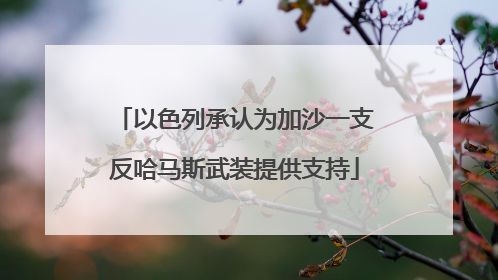 以色列承认为加沙一支反哈马斯武装提供支持