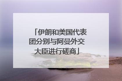 伊朗和美国代表团分别与阿曼外交大臣进行磋商