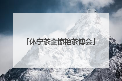 休宁茶企惊艳茶博会