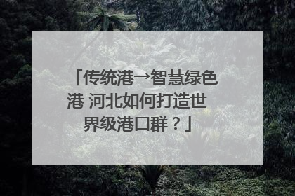 传统港→智慧绿色港 河北如何打造世界级港口群？