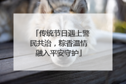 传统节日遇上警民共治，粽香温情融入平安守护