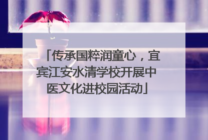 传承国粹润童心，宜宾江安水清学校开展中医文化进校园活动