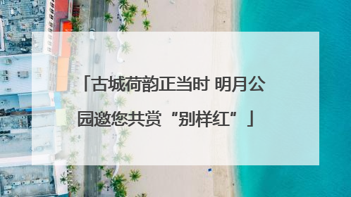 古城荷韵正当时 明月公园邀您共赏“别样红”