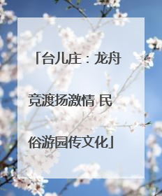 台儿庄：龙舟竞渡扬激情 民俗游园传文化