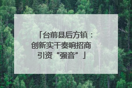 台前县后方镇：创新实干奏响招商引资“强音”