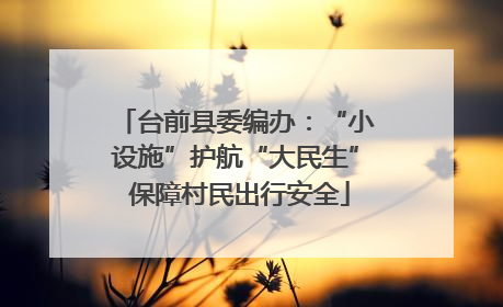 台前县委编办：“小设施”护航“大民生” 保障村民出行安全