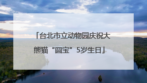 台北市立动物园庆祝大熊猫“圆宝”5岁生日