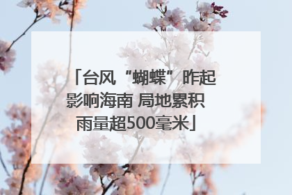 台风“蝴蝶”昨起影响海南 局地累积雨量超500毫米