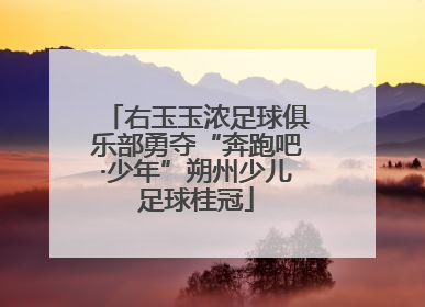 右玉玉浓足球俱乐部勇夺“奔跑吧·少年”朔州少儿足球桂冠