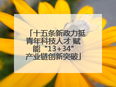 十五条新政力挺青年科技人才 赋能“13+34”产业链创新突破