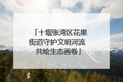 十堰张湾区花果街道守护文明河流 共绘生态画卷