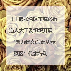 十堰张湾区车城路街道人大工委组织开展 “聚力建支点·建功示范区”代表行动