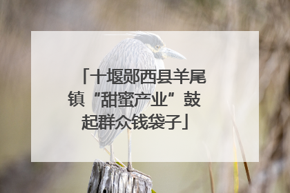 十堰郧西县羊尾镇“甜蜜产业”鼓起群众钱袋子