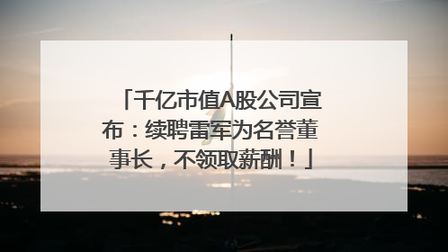 千亿市值A股公司宣布：续聘雷军为名誉董事长，不领取薪酬！