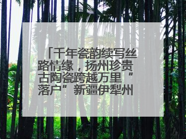 千年瓷韵续写丝路情缘，扬州珍贵古陶瓷跨越万里“落户”新疆伊犁州博物馆