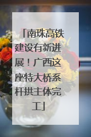 南珠高铁建设有新进展！广西这座特大桥系杆拱主体完工