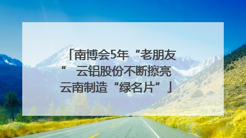 南博会5年“老朋友” 云铝股份不断擦亮云南制造“绿名片”
