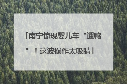 南宁惊现婴儿车“遛鸭”！这波操作太吸睛
