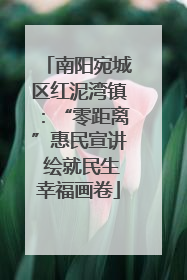 南阳宛城区红泥湾镇：“零距离”惠民宣讲 绘就民生幸福画卷