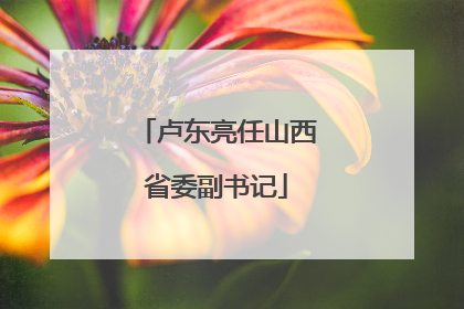 卢东亮任山西省委副书记
