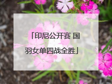 印尼公开赛 国羽女单四战全胜