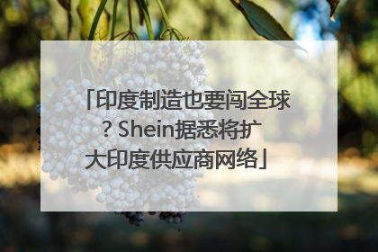 印度制造也要闯全球？Shein据悉将扩大印度供应商网络