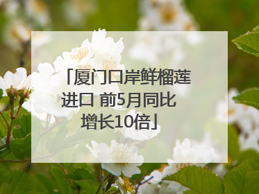 厦门口岸鲜榴莲进口 前5月同比增长10倍