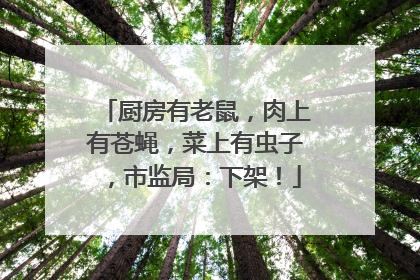 厨房有老鼠，肉上有苍蝇，菜上有虫子，市监局：下架！