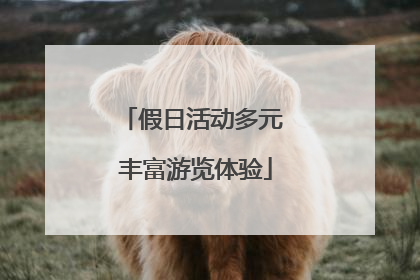 假日活动多元 丰富游览体验