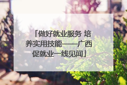 做好就业服务 培养实用技能——广西促就业一线见闻