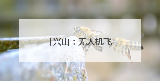 兴山：无人机飞防为4800余亩柑橘保驾护航