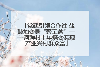 党建引领合作社 盐碱地变身“聚宝盆”——河涯村十年蝶变实现产业兴村群众富