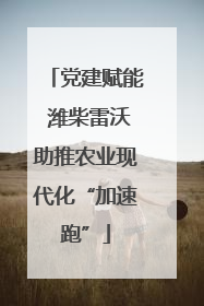 党建赋能 潍柴雷沃助推农业现代化“加速跑”