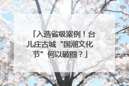 入选省级案例！台儿庄古城“国潮文化节”何以破圈？