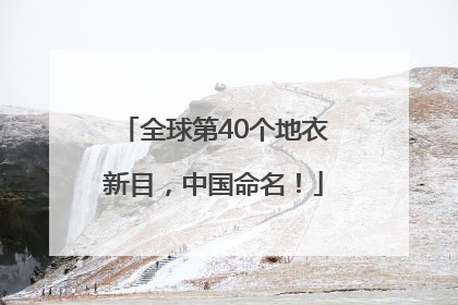 全球第40个地衣新目，中国命名！