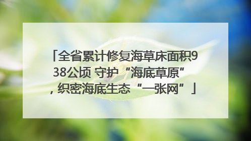 全省累计修复海草床面积938公顷 守护“海底草原”，织密海底生态“一张网”