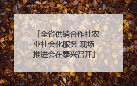 全省供销合作社农业社会化服务 现场推进会在泰兴召开