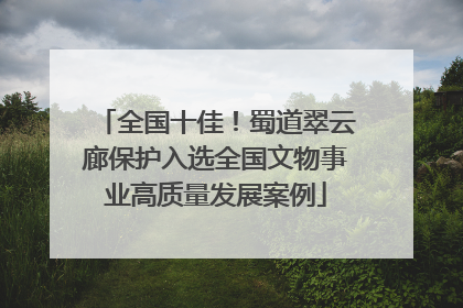 全国十佳！蜀道翠云廊保护入选全国文物事业高质量发展案例